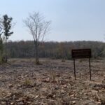 สยาม ไวเนอรี่ ทุ่มงบฯ หนุน ห้วยขาแข้ง สร้างแหล่งอาหารสัตว์กลางป่า สกัดช้างบุกไร่ ลดเผชิญหน้าคน-สัตว์ป่า