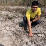 สยาม ไวเนอรี่ ทุ่มงบฯ หนุน ห้วยขาแข้ง สร้างแหล่งอาหารสัตว์กลางป่า สกัดช้างบุกไร่ ลดเผชิญหน้าคน-สัตว์ป่า