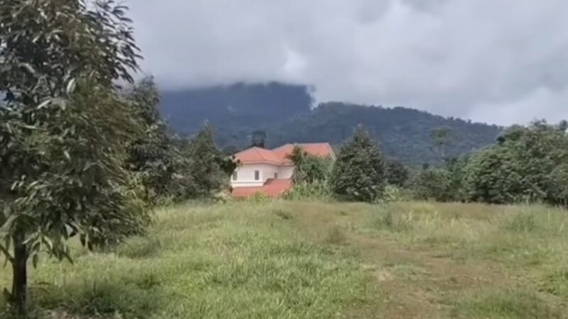 นก จริยา