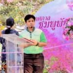 มก.กำแพงแสน เปิด 'เทศกาลชมพูพันธุ์ทิพย์' ชมความสวยงาม ถนนสีชมพู 13-20 กพ.