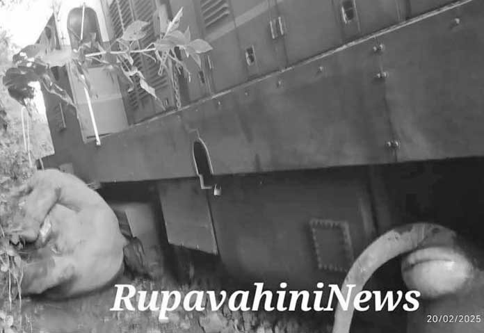 รถไฟโดยสารพุ่งชน “ฝูงช้าง” ตายอนาถ 6 ตัว-ใกล้เขตรักษาพันธุ์สัตว์ป่าในศรีลังกา