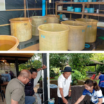 ARDA หนุนเกษตรกรเพาะเลี้ยงปลิงขาวสัตว์น้ำเศรษฐกิจมูลค่าสูง