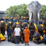 ช้างสวนนงนุช มีลูกชาย 5 เชือก ฉลองอย่างยิ่งใหญ่เป็นของขวัญปีใหม่ 2568