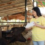 กองทุนพัฒนาเอสเอ็มอีตามแนวประชารัฐ เพิ่มโอกาส SMEs ไทย คว้าเงินทุนต่อยอดธุรกิจ