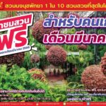 สวนนงนุชพัทยา จัดโปรโมชั่นเข้าฟรีตลอดเดือน สำหรับคนเกิดเดือน มี.ค.