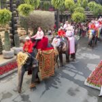 สวนนงนุชพัทยา จัดจดทะเบียนบนหลังช้าง คู่รัก LGBTQ+ แห่ร่วมคึกคัก