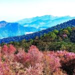 ททท.ภาคเหนือบูม“สุขทันทีที่เที่ยวพะเยา-เชียงราย”5แคมเปญเดือนแห่งรัก