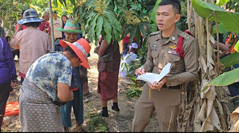 Newborn found abandoned in Buriram banana grove | News by Thaiger