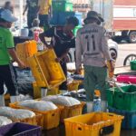 ประมงปัตตานีร้องรัฐ เร่งแก้ปมใบอนุญาตแรงงาน 4 สัญชาติ ห่วงเศรษฐกิจเสียหาย 4 พันล้าน