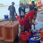 ประมงปัตตานีร้องรัฐ เร่งแก้ปมใบอนุญาตแรงงาน 4 สัญชาติ ห่วงเศรษฐกิจเสียหาย 4 พันล้าน