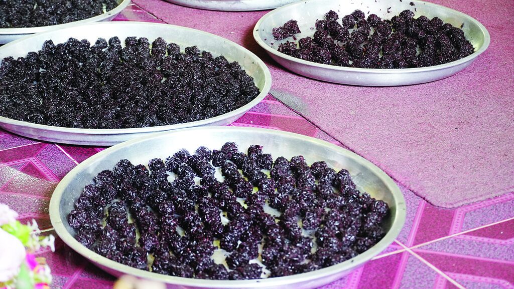 ชวนกันมา พากันมู(เตลู) - กินข้าวเหนียวดำอันศักดิ์สิทธิ์ ประเพณีเก่าแก่ตำรับวัดเขาอ้อ 