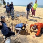 กรมรัพยากรทะเล เฮ! เต่าทะเลขึ้นวางไข่เพิ่มอีก 5 รัง ชายหาดพังงา ชี้ระบบนิเวศสมบูรณ์