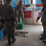 จับพรานป่า แอบล่าสัตว์ป่าสาละวิน ตรวจค้นถึงผงะ เจอปืน ซากนก-กระรอก นับ 10 ส่งดำเนินคดี  