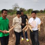 ชาวไร่ทุกข์ ไม่ขุดมันสำปะหลังขาย ราคาตกต่ำสุดในรอบ 20 ปี ขุดไม่คุ้มทุน วอนรัฐช่วยด่วน