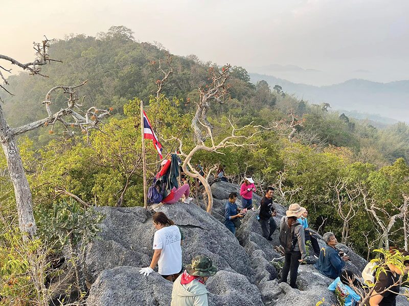 หลากหลาย - ขึ้นเขาชมดอกปอคาว 