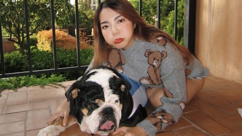 วันเดอร์เฟรม