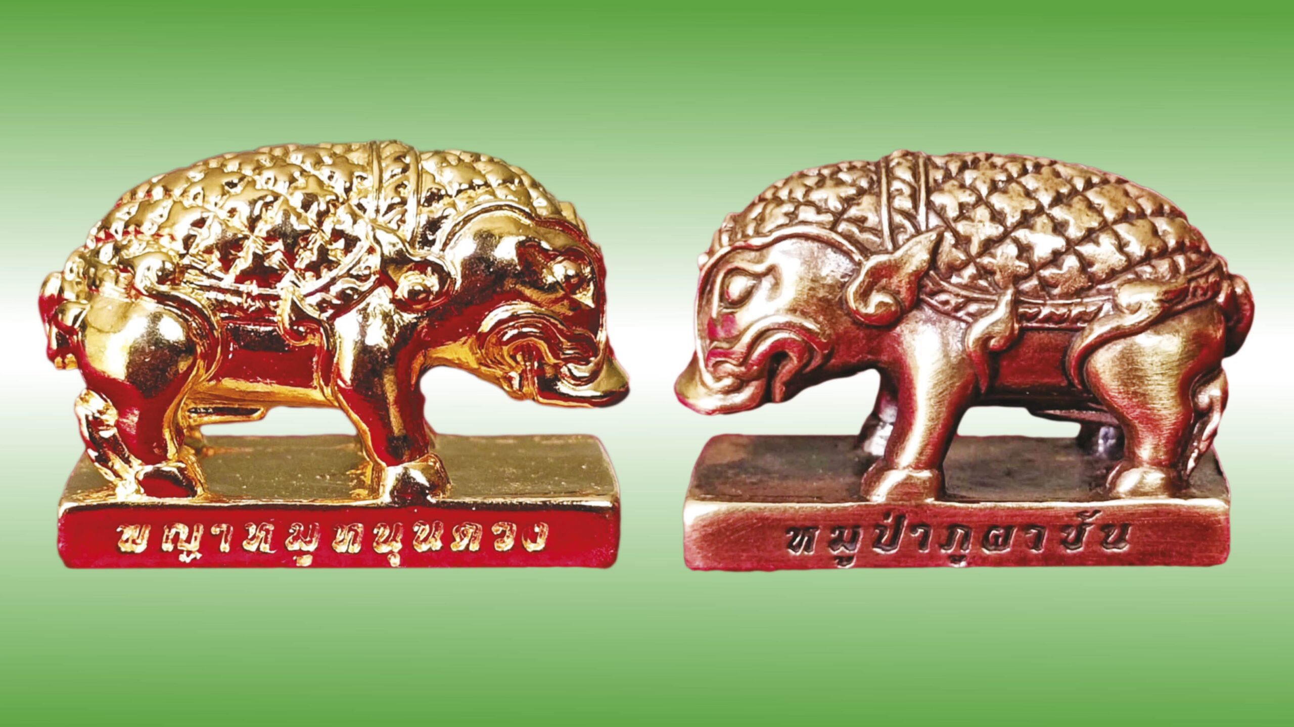 เปิดตลับพระใหม่ - เครื่องรางพญาหมู-หลวงปู่ทองปาน วัดป่าภูผาชัน