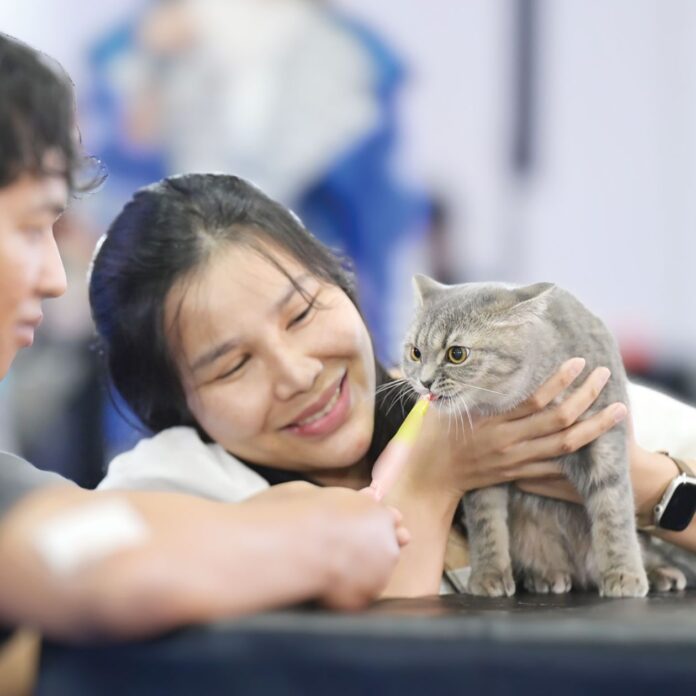 เพื่อนตัวเล็ก