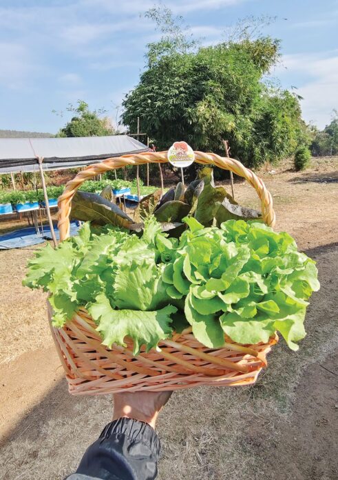 สดจากเยาวชน
