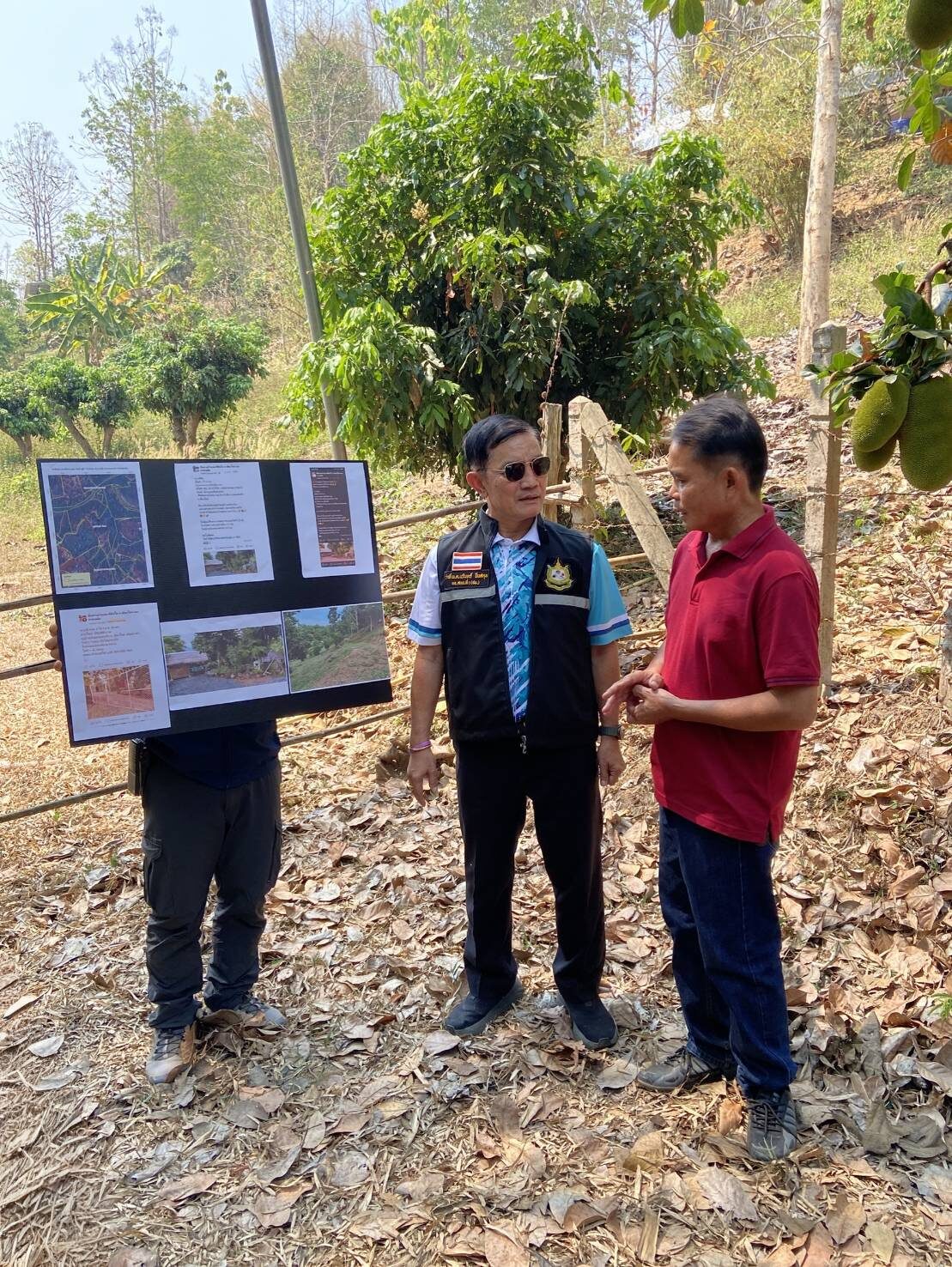 Royal Forest Department probes illegal land sales in Chiang Mai | News by Thaiger