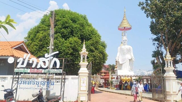 แห่ร่วมพิธีบวงสรวง ขอโชค พระปางเปิดโลก วัดดังจังหวัดพะเยา ส่องขันน้ำมนต์-หางประทัด ได้เลขเด็ด 5 ตัว ซื้อลอตเตอรี่ขายเกลี้ยงแผง