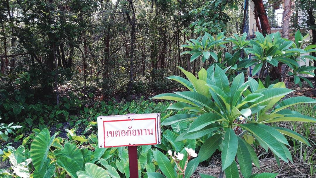 เที่ยววัดวันหยุด - ชมสวนป่าสมุนไพร ‘วัดป่าอรัญญิกาวาส’
