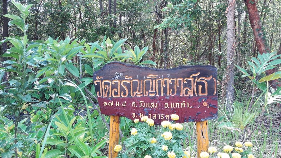 เที่ยววัดวันหยุด - ชมสวนป่าสมุนไพร ‘วัดป่าอรัญญิกาวาส’