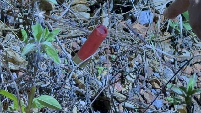 Teen injured in Phatthalung pickup truck shooting incident | News by Thaiger