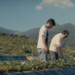 สตรอว์เบอร์รี พรีเมียม ดอยคำ ผลผลิตจากเกษตรกรไทย เนื้อแดง รสชาติหวาน กลิ่นหอม การันตีมาตรฐานสากล