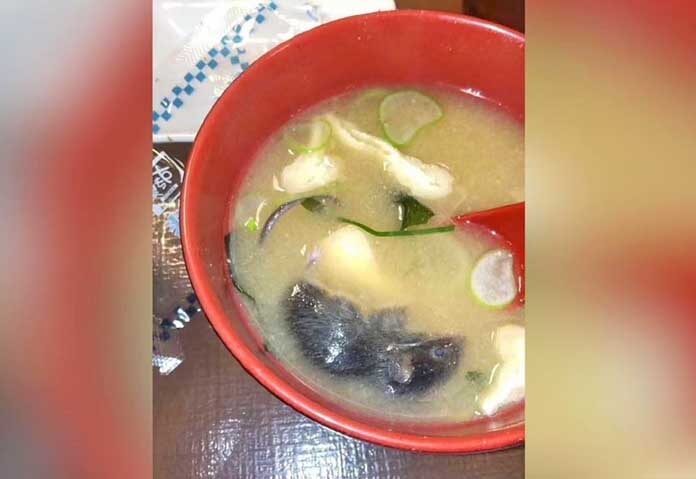 ร้านข้าวหน้าเนื้อญี่ปุ่นเจ้าดัง จ่อปิดเกือบ 2,000 สาขา ปมพบหนู-แมลงสาบในอาหาร