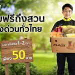 แฟลช เอ็กซ์เพรส ต้อนรับฤดูผลไม้มอบราคาสุดคุ้ม 1-2 กก. แรก เพียง 50 บาท พร้อมเข้ารับฟรีถึงสวน