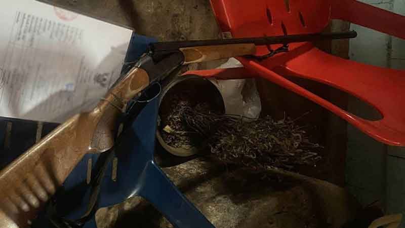 Gunman surrenders after fatal shooting in Thai forest | News by Thaiger