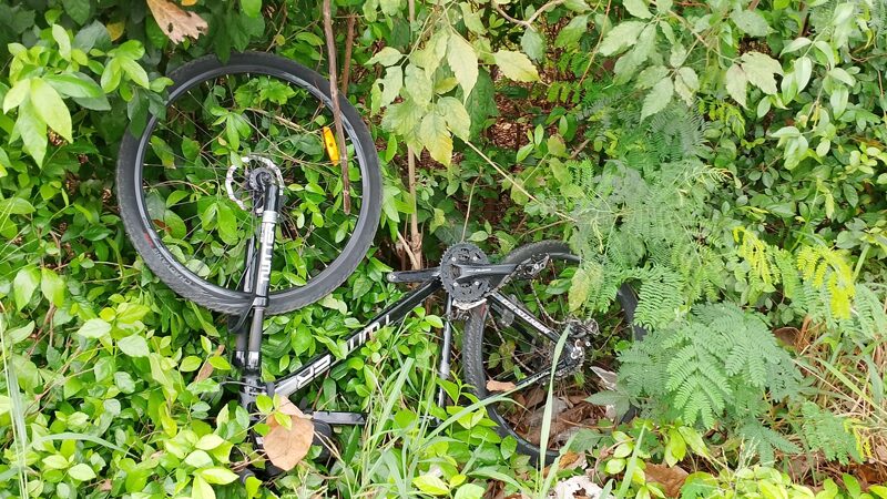 Belgian cyclist killed in Chon Buri truck collision | News by Thaiger