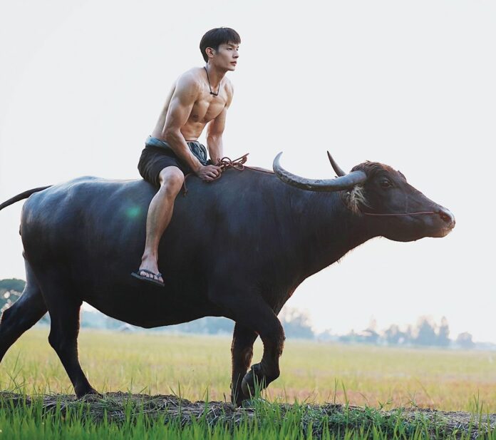 ซุปตาร์บันเทิง
