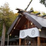 ทัวร์ญี่ปุ่น ฮอกไกโด โอซาก้า บริษัทไหนดี 2568 ต้อง Travelzeed