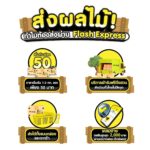 แฟลช เอ็กซ์เพรส ต้อนรับฤดูผลไม้มอบราคาสุดคุ้ม 1-2 กก. แรก เพียง 50 บาท พร้อมเข้ารับฟรีถึงสวน