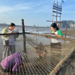 เครือซีพีเดินหน้าฟื้นฟูหญ้าทะเลสร้างระบบนิเวศสำคัญกักเก็บคาร์บอนฯ  