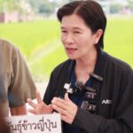 ARDA หนุนนวัตกรรมงานวิจัย ปั้นข้าวญี่ปุ่นสัญชาติไทย! ลดการนำเข้ากว่า 50ล้าน เพิ่มกำไรเกษตรกรเชียงราย 19%