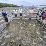 เครือซีพีเดินหน้าฟื้นฟูหญ้าทะเลสร้างระบบนิเวศสำคัญกักเก็บคาร์บอนฯ  