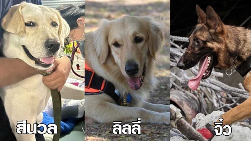 เก๋ ชลลดา