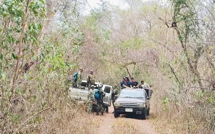 Villager killed by wild elephant in Chanthaburi forest tragedy | News by Thaiger