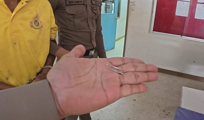 Former boxer accused of killing mother in Trang province | News by Thaiger