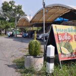 แผงทุเรียนแข่งขันดุ งัดกลยุทธ ดึงนางเอกลิเกดำดง แดนซ์สู้แดด ดักโบกรถซื้อทุเรียนชาวสวน