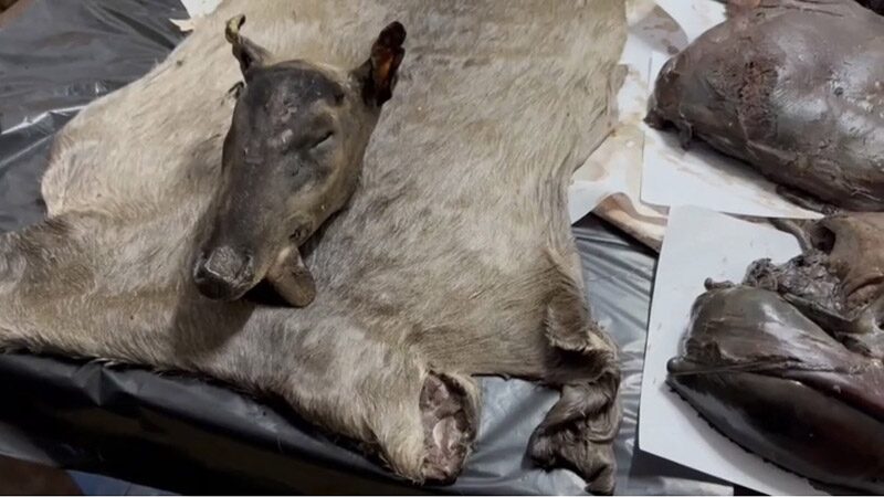 Eleven arrested for illegal gold mining in Kanchanaburi | News by Thaiger