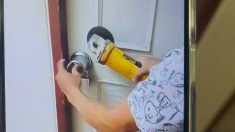 ต่าย