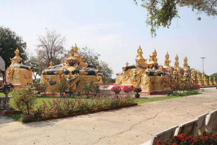 ชวนกันมาพากันมู(เตลู)