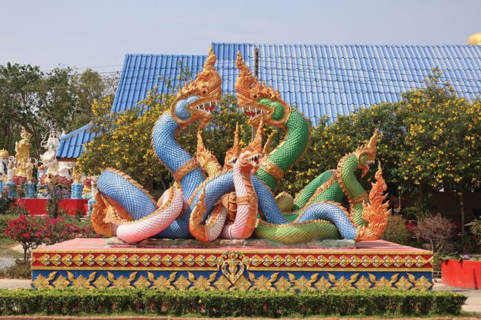 ชวนกันมาพากันมู(เตลู)