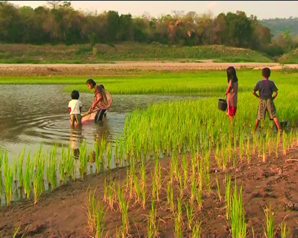 สดจากเยาวชน - วิถีคนริมโขง นาแซงสู่นาทราย