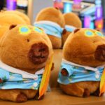 Capybara Tuntunzai Bakery Pop-up Store  ครั้งแรกในประเทศไทย ที่เอ็มสฟียร์