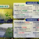 จีดีพีเกษตร ไตรมาส 1 ทิศทางสดใส เติบโตร้อยละ 3 คาดทั้งปี ขยายตัวร้อยละ 1.8 - 2.8
